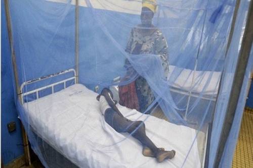 FG Intends To Borrow N82 Billion To Purchase Mosquito Nets