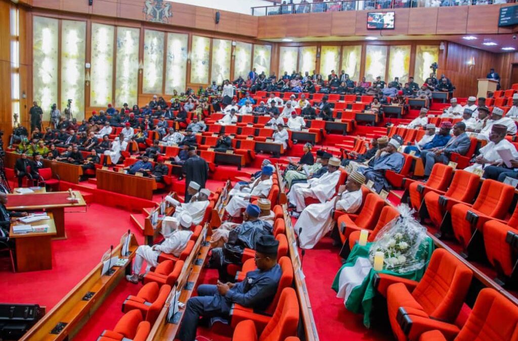 Senate Approves The Nigerian Startup Bill