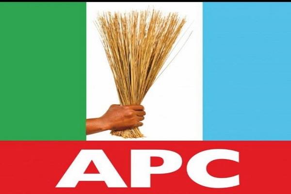 APC member Says ‘Nigerian Youths Not Ready For Leadership Positions’