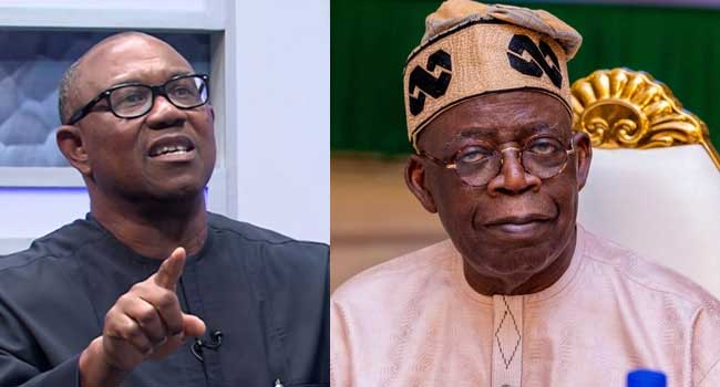 Peter Obi’s Petition Against Tinubu Is An Effort In Futility – Ned Nwoko