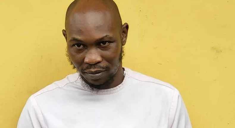 Seun Kuti’s Arrest Could Lead to Cancellation of Spain Concert