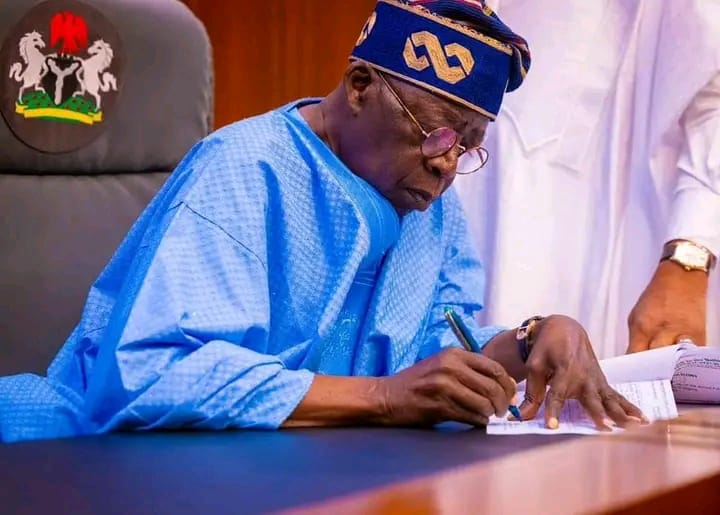 President Tinubu Makes New Appointments, Excites Everyone
