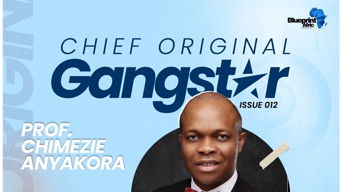 <strong>Prof. Chimezie Anyakora: A Trailblazer in Nigeria’s Public Health – Chief Original Gangstar</strong>